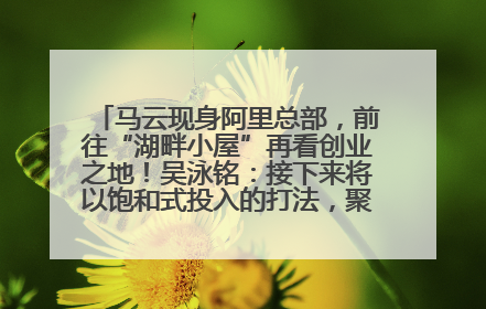 马云现身阿里总部，前往“湖畔小屋”再看创业之地！吴泳铭：接下来将以饱和式投入的打法，聚焦于几大核心战役