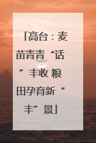 高台：麦苗青青“话”丰收 粮田孕育新“丰”景