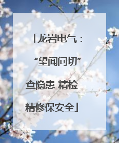 龙岩电气：“望闻问切”查隐患 精检精修保安全