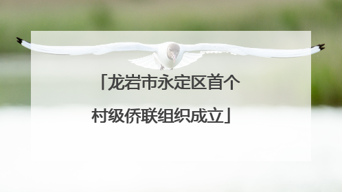 龙岩市永定区首个村级侨联组织成立
