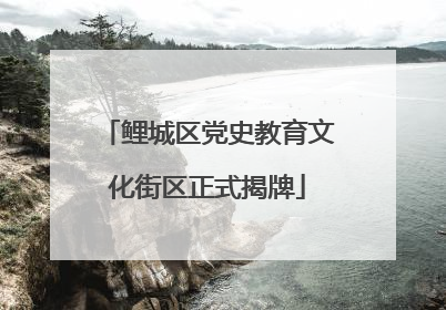 鲤城区党史教育文化街区正式揭牌