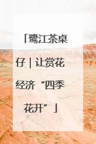 鹭江茶桌仔｜让赏花经济“四季花开”
