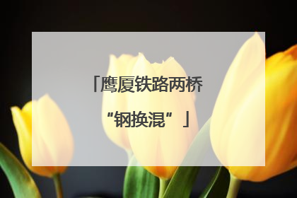 鹰厦铁路两桥“钢换混”