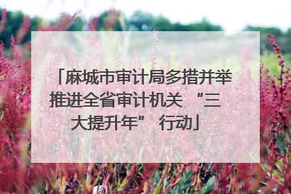 麻城市审计局多措并举推进全省审计机关 “三大提升年” 行动