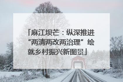 麻江坝芒：纵深推进“两清两改两治理”绘就乡村振兴新图景