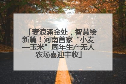 麦浪涌金处，智慧绘新篇！河南首家“小麦—玉米”周年生产无人农场喜迎丰收