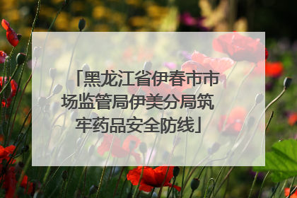 黑龙江省伊春市市场监管局伊美分局筑牢药品安全防线