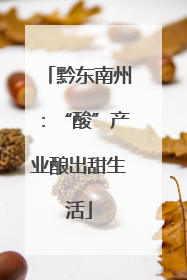 黔东南州：“酸”产业酿出甜生活