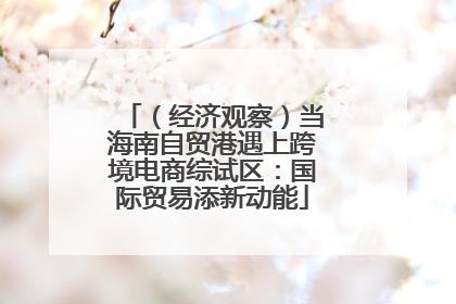 （经济观察）当海南自贸港遇上跨境电商综试区：国际贸易添新动能
