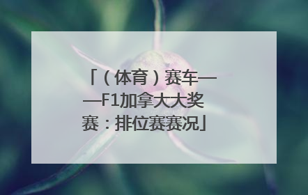 （体育）赛车——F1加拿大大奖赛：排位赛赛况