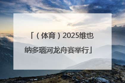 （体育）2025维也纳多瑙河龙舟赛举行