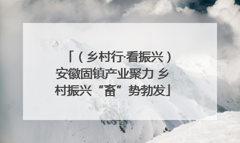 （乡村行·看振兴）安徽固镇产业聚力 乡村振兴“畜”势勃发