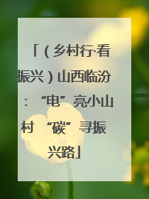 （乡村行·看振兴）山西临汾：“电”亮小山村 “碳”寻振兴路