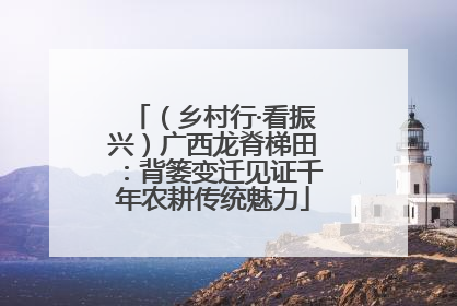 （乡村行·看振兴）广西龙脊梯田：背篓变迁见证千年农耕传统魅力