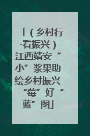 （乡村行·看振兴）江西靖安“小”浆果助绘乡村振兴“莓”好“蓝”图
