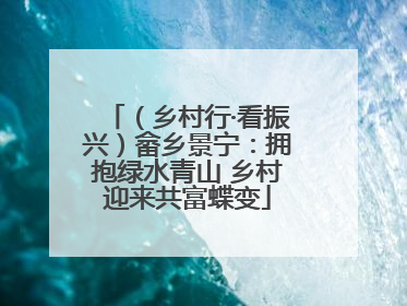 （乡村行·看振兴）畲乡景宁：拥抱绿水青山 乡村迎来共富蝶变