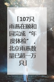 107只雨燕在颐和园完成“年度体检”，北京雨燕数量已超一万只