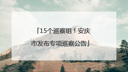 15个巡察组！安庆市发布专项巡察公告