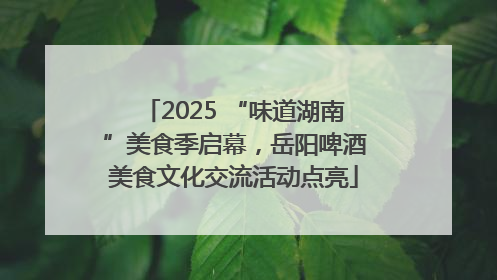 2025 “味道湖南”美食季启幕，岳阳啤酒美食文化交流活动点亮