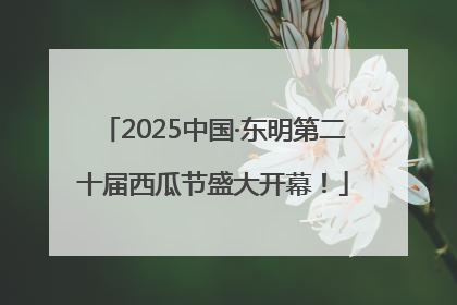 2025中国·东明第二十届西瓜节盛大开幕！