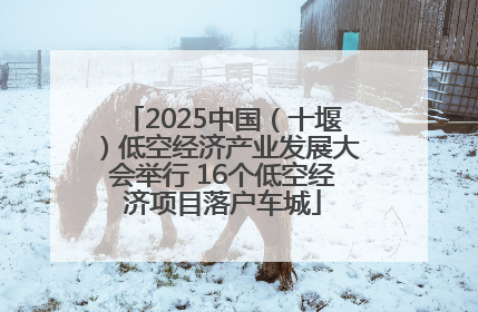 2025中国（十堰）低空经济产业发展大会举行 16个低空经济项目落户车城
