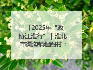 2025年“政协江淮行”｜淮北市渠沟镇程阁村：“生态痛点”变“生态景观”