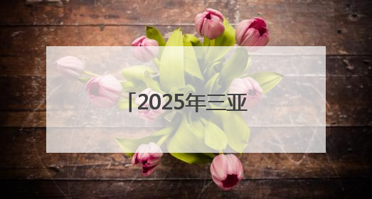 2025年三亚市文化惠民演出系列活动启动，露营音乐会浪漫开场