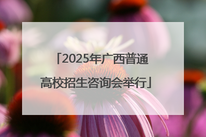 2025年广西普通高校招生咨询会举行