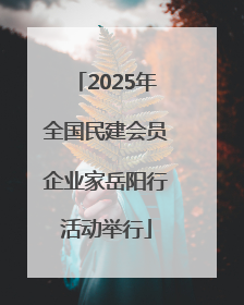 2025年全国民建会员企业家岳阳行活动举行