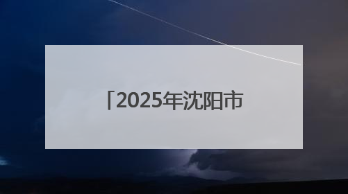 2025年沈阳市网络文化企业进校园双选活动正式启动