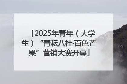 2025年青年（大学生）“青耘八桂·百色芒果”营销大赛开幕