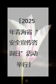 2025年青海省“安全宣传咨询日”活动举行