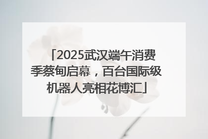2025武汉端午消费季蔡甸启幕，百台国际级机器人亮相花博汇