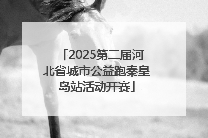 2025第二届河北省城市公益跑秦皇岛站活动开赛