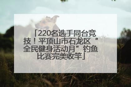 220名选手同台竞技！平顶山市石龙区“全民健身活动月”钓鱼比赛完美收竿