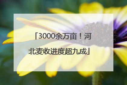 3000余万亩！河北麦收进度超九成