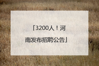 3200人！河南发布招聘公告