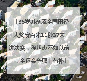 35岁苏炳添全国田径大奖赛百米11秒37未进决赛，称状态不如以前，全运会争取上替补