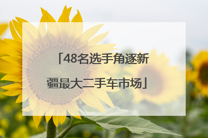 48名选手角逐新疆最大二手车市场