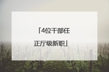 4位干部任正厅级新职