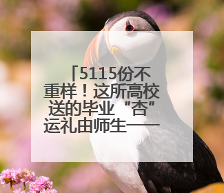 5115份不重样！这所高校送的毕业“杏”运礼由师生一一手写