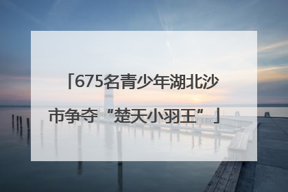 675名青少年湖北沙市争夺“楚天小羽王”