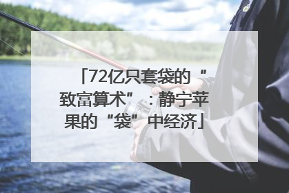 72亿只套袋的“致富算术”：静宁苹果的“袋”中经济
