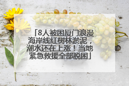8人被困厦门浪漫海岸线红树林淤泥，潮水还在上涨！当地紧急救援全部脱困