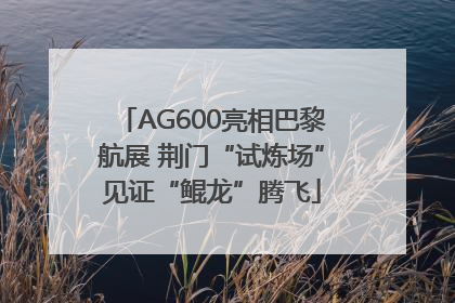 AG600亮相巴黎航展 荆门“试炼场”见证“鲲龙”腾飞