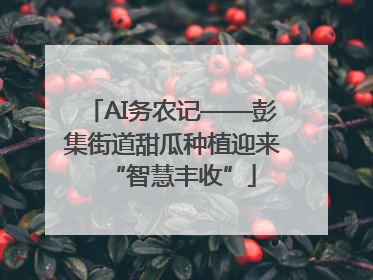 AI务农记——彭集街道甜瓜种植迎来“智慧丰收”