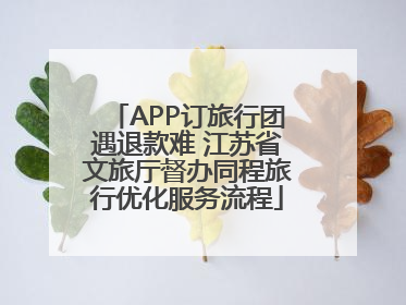 APP订旅行团遇退款难 江苏省文旅厅督办同程旅行优化服务流程
