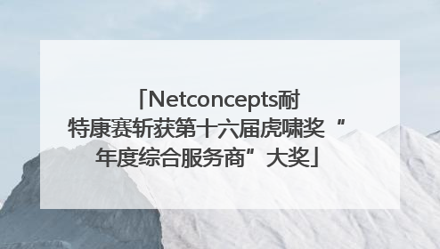 Netconcepts耐特康赛斩获第十六届虎啸奖“年度综合服务商”大奖